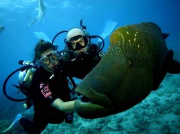 Молодежный и активный